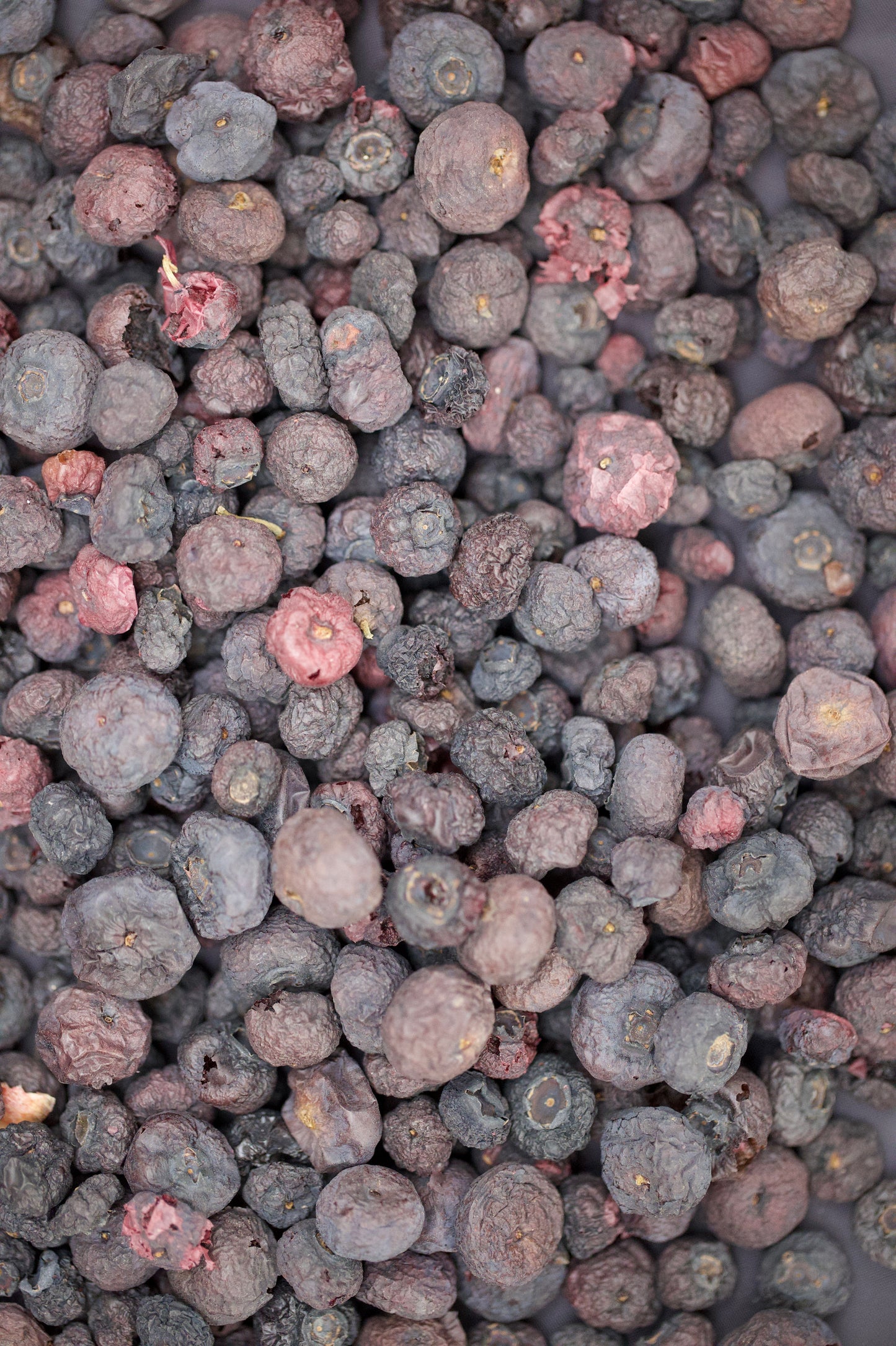 Myrtilles déshydratées